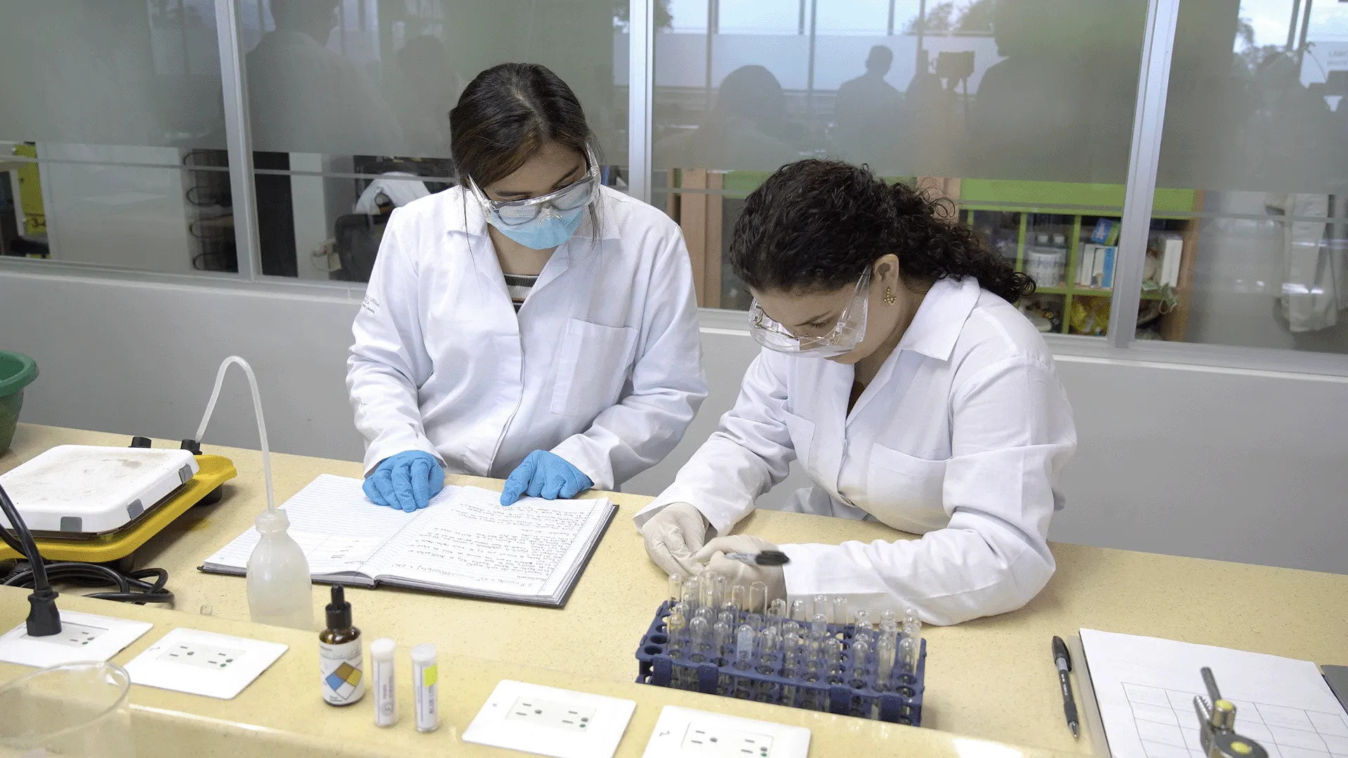 Galer&iacute;a imagen 4